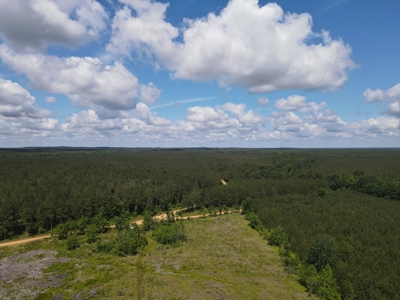 Hunting Land Dallas County Arkansas - image 17