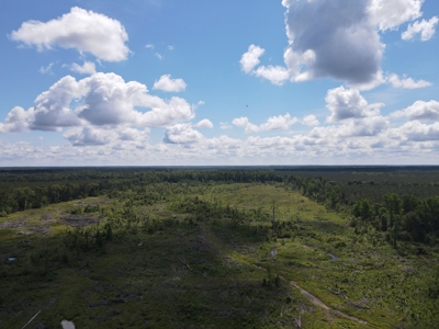 Hunting Land Dallas County Arkansas - image 10