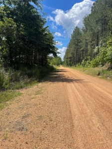 Hunting Land Dallas County Arkansas - image 21