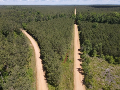 Hunting Land Dallas County Arkansas - image 20