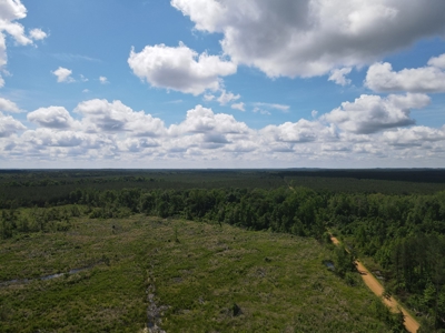 Hunting Land Dallas County Arkansas - image 18