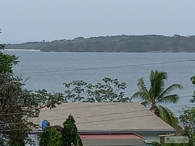 Lot For Sale In Isla Contadora Panama - image 4