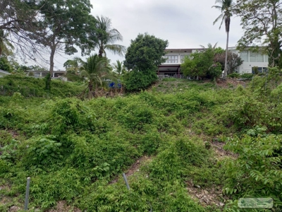 Lot For Sale In Isla Contadora Panama - image 15