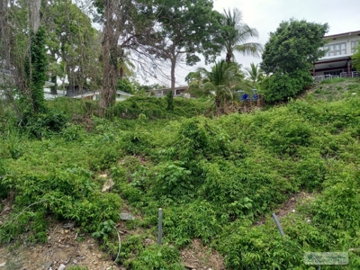 Lot For Sale In Isla Contadora Panama - image 13