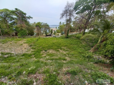 Lot For Sale In Isla Contadora Panama - image 3