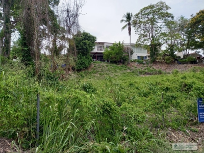 Lot For Sale In Isla Contadora Panama - image 14