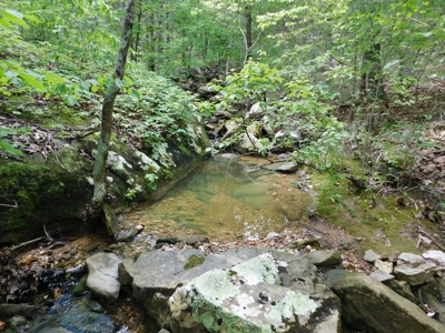 Bldg Site Hunting Recreational Land Newton County For Sale - image 1