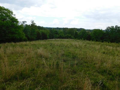 Bldg Site Hunting Recreational Land Newton County For Sale - image 4