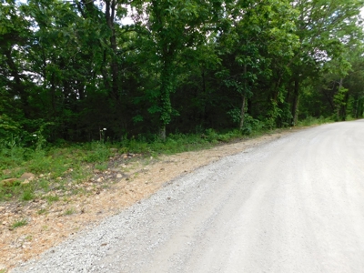Bldg Site Hunting Recreational Land Newton County For Sale - image 9