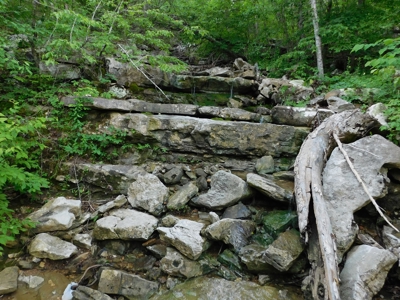 Bldg Site Hunting Recreational Land Newton County For Sale - image 10