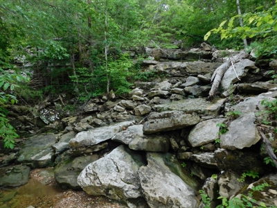 Bldg Site Hunting Recreational Land Newton County For Sale - image 11