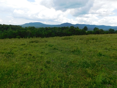 Bldg Site Hunting Recreational Land Newton County For Sale - image 8