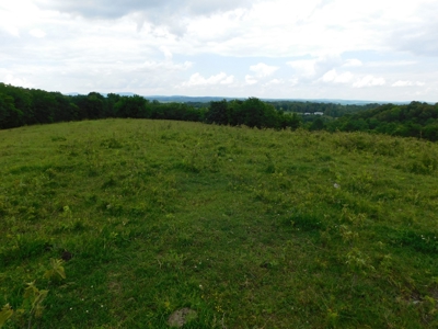 Bldg Site Hunting Recreational Land Newton County For Sale - image 6