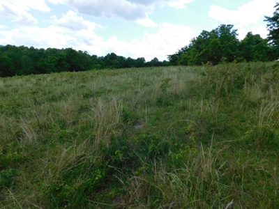 Bldg Site Hunting Recreational Land Newton County For Sale - image 12