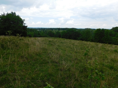 Bldg Site Hunting Recreational Land Newton County For Sale - image 13