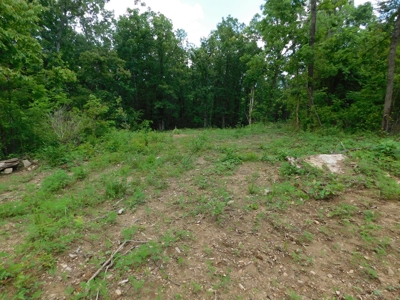 Bldg Site Hunting Recreational Land Newton County For Sale - image 7