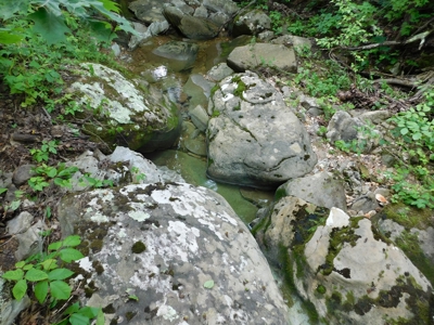 Bldg Site Hunting Recreational Land Newton County For Sale - image 3