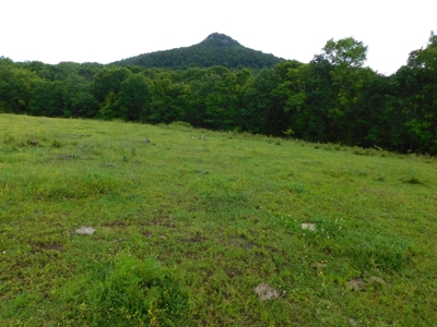 Bldg Site Hunting Recreational Land Newton County For Sale - image 5