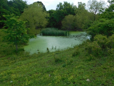 Bldg Site Hunting Recreational Land Newton County For Sale - image 2