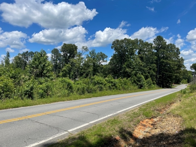 Development Land in Saline County Arkansas - image 3