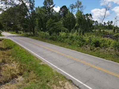 Development Land in Saline County Arkansas - image 21