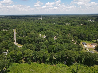 Development Land in Saline County Arkansas - image 13