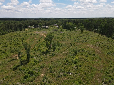 Development Land in Saline County Arkansas - image 11