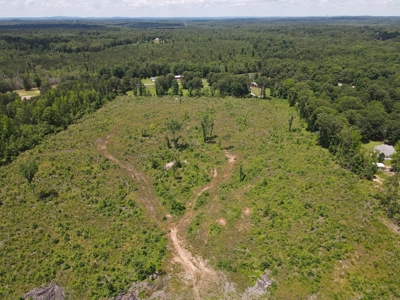 Development Land in Saline County Arkansas - image 19
