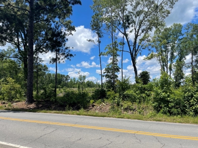 Development Land in Saline County Arkansas - image 5
