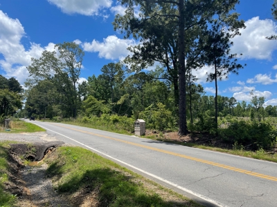 Development Land in Saline County Arkansas - image 4
