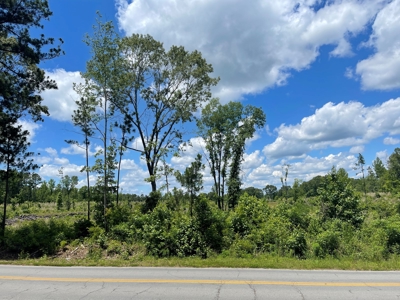 Development Land in Saline County Arkansas - image 2