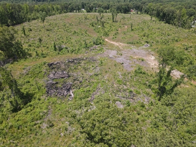 Development Land in Saline County Arkansas - image 9