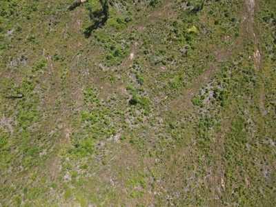 Development Land in Saline County Arkansas - image 16