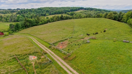 Beautiful Country Home for Sale in Willis VA! - image 34