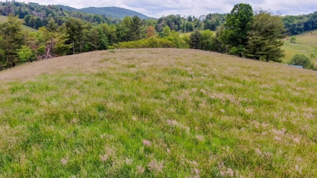 Beautiful Country Home for Sale in Willis VA! - image 37