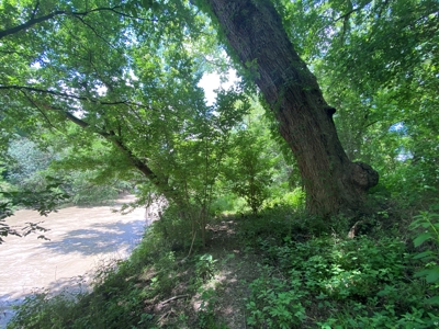 River Front Property for Sale in Central Texas – 300+/- Acre - image 40