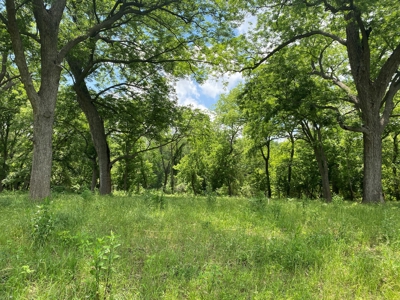 River Front Property for Sale in Central Texas – 300+/- Acre - image 23