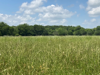 River Front Property for Sale in Central Texas – 300+/- Acre - image 26