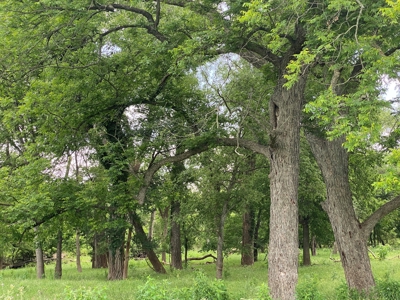 River Front Property for Sale in Central Texas – 300+/- Acre - image 11
