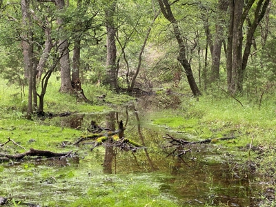 River Front Property for Sale in Central Texas – 300+/- Acre - image 34