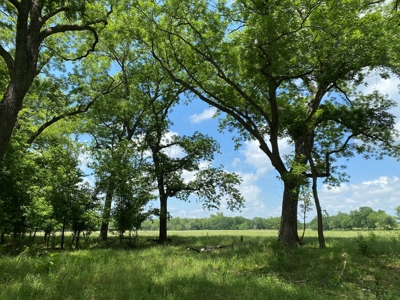 River Front Property for Sale in Central Texas – 300+/- Acre - image 25