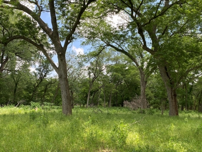 River Front Property for Sale in Central Texas – 300+/- Acre - image 29