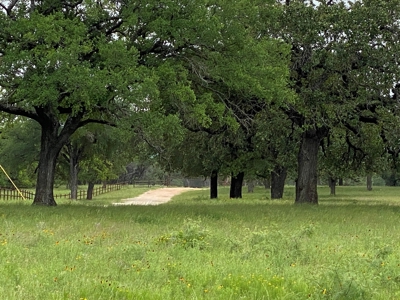 River Front Property for Sale in Central Texas – 300+/- Acre - image 10