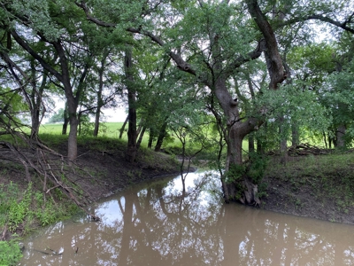 River Front Property for Sale in Central Texas – 300+/- Acre - image 8