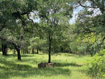 River Front Property for Sale in Central Texas – 300+/- Acre - image 21