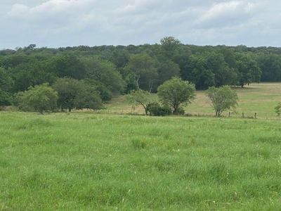 River Front Property for Sale in Central Texas – 300+/- Acre - image 39