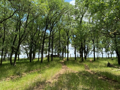 River Front Property for Sale in Central Texas – 300+/- Acre - image 32