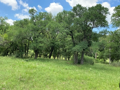 River Front Property for Sale in Central Texas – 300+/- Acre - image 30