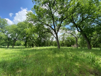 River Front Property for Sale in Central Texas – 300+/- Acre - image 24