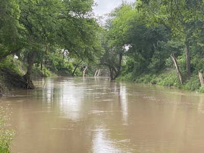 River Front Property for Sale in Central Texas – 300+/- Acre - image 4